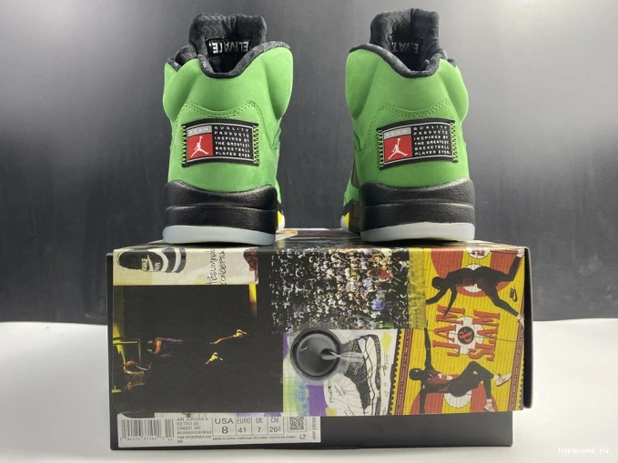 Oregon 5 SE CK6631-307 Air Jordan Ducks 1018